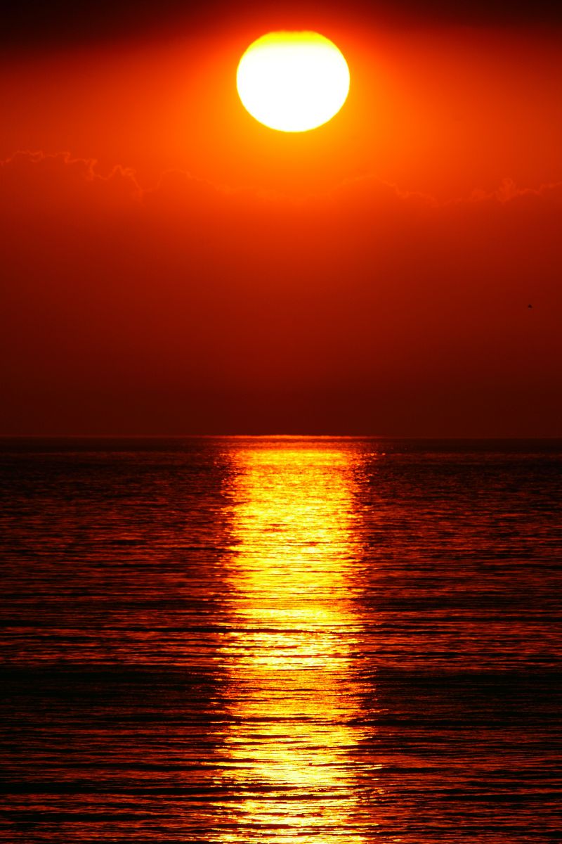 赤い海 自然 風景 海 Ganref