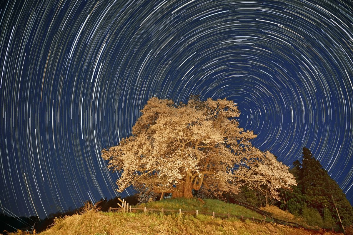 E PZ 16-50mm F3.5-5.6 OSSで撮影された写真 | 写真検索 | GANREF