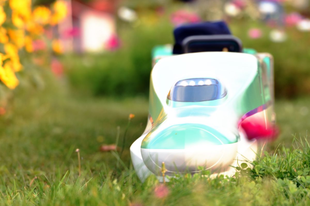 APO 50-500mm F4.5-6.3 DG OS HSMで撮影された写真 | 写真検索 | GANREF