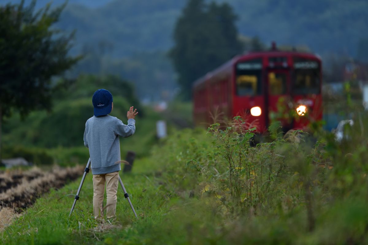 AF-S NIKKOR 70-200mm f/2.8E FL ED VRで撮影された写真 | 写真検索 