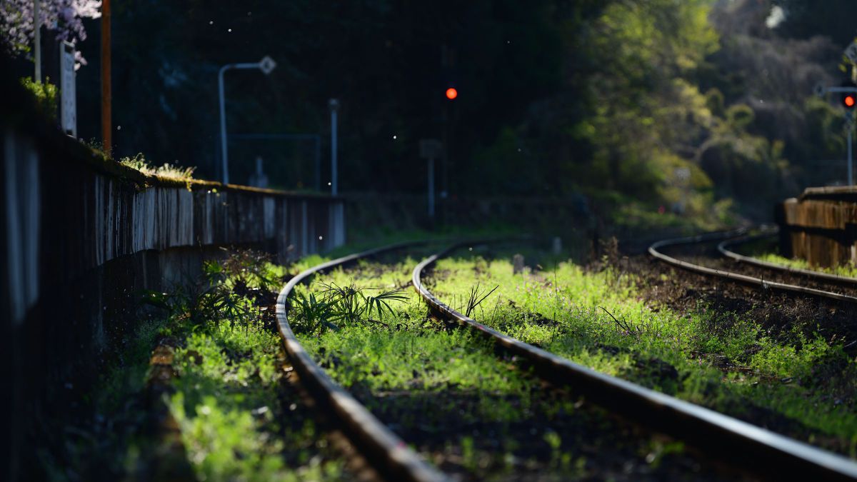 AF-S NIKKOR 70-200mm f/2.8E FL ED VRで撮影された写真 | 写真検索
