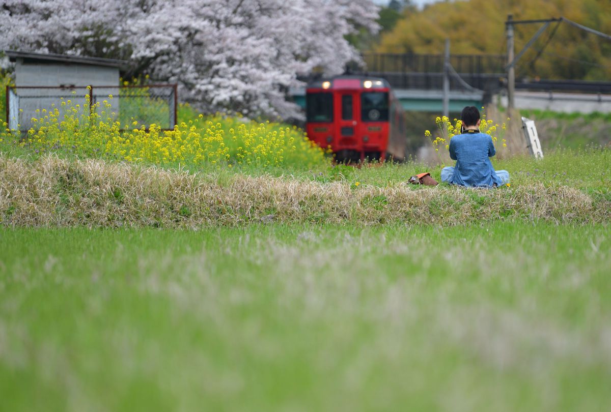 AF-S NIKKOR 70-200mm f/2.8E FL ED VRで撮影された写真 | 写真検索