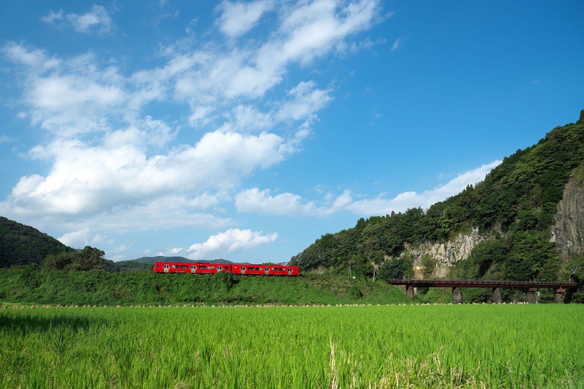 Distagon T＊ 24mm F2 ZA SSMで撮影された写真 | 写真検索 | GANREF