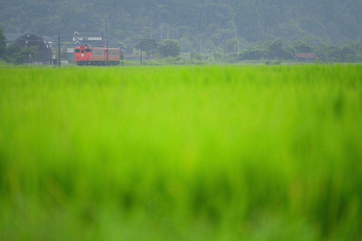 AF-S NIKKOR 70-200mm f/2.8E FL ED VRで撮影された写真 | 写真検索