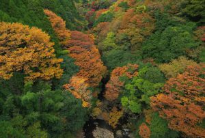 MDAwMDAyNjMyNw_MC4yMDc0NzAwMCA