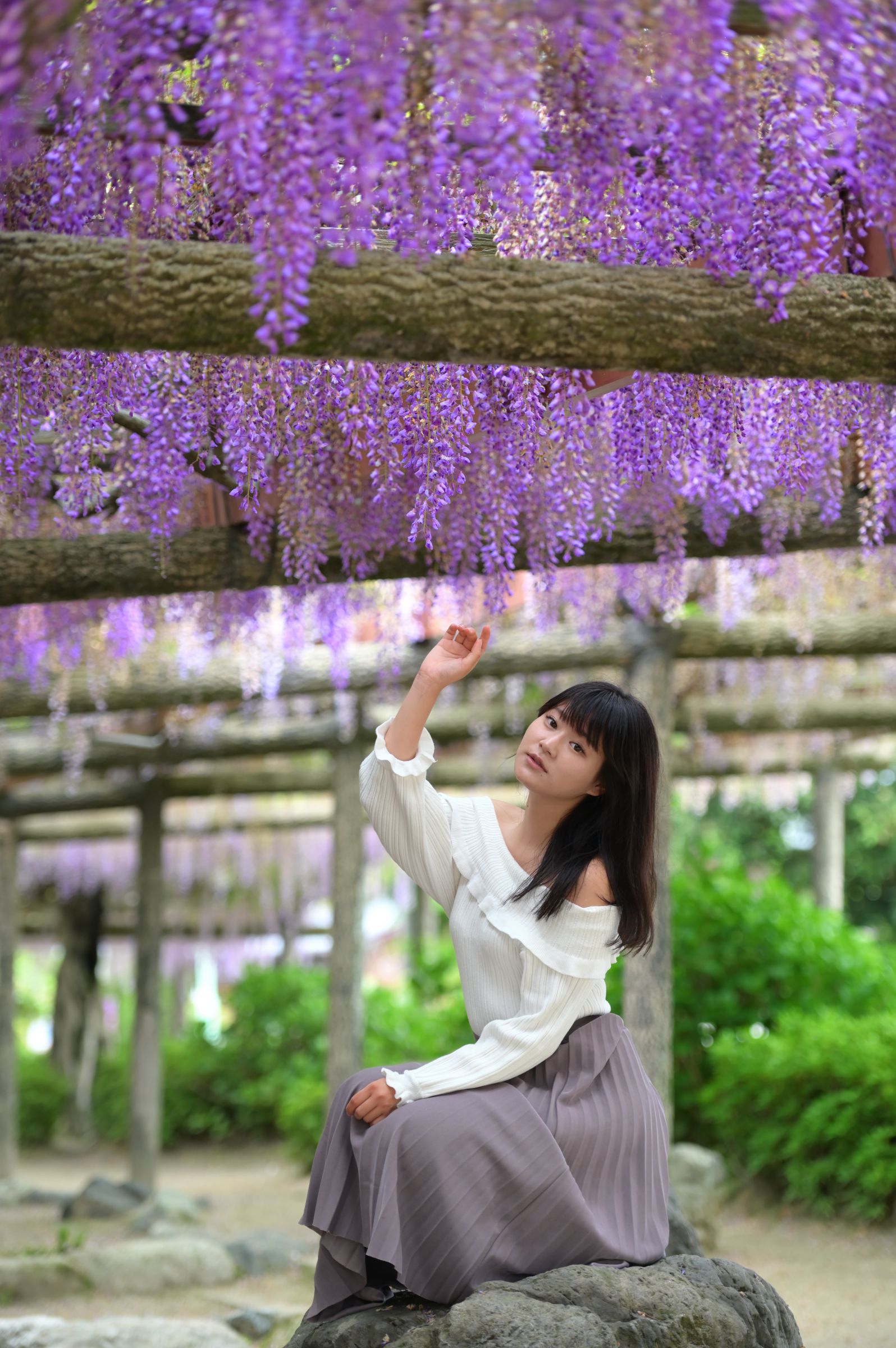 藤棚ポートレート | GANREF