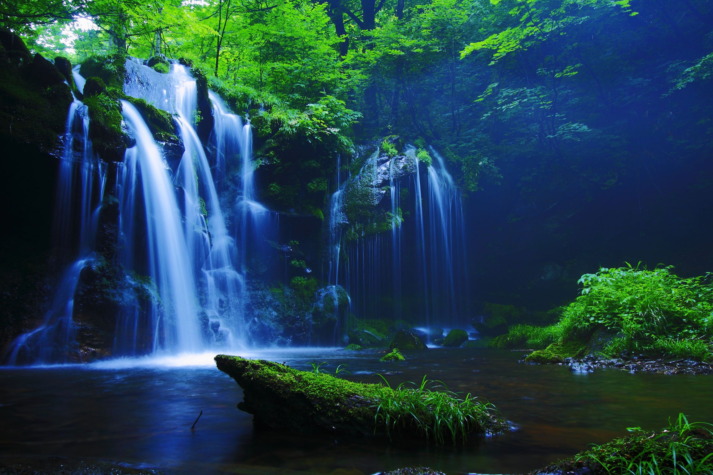 秘境の滝 | GANREF