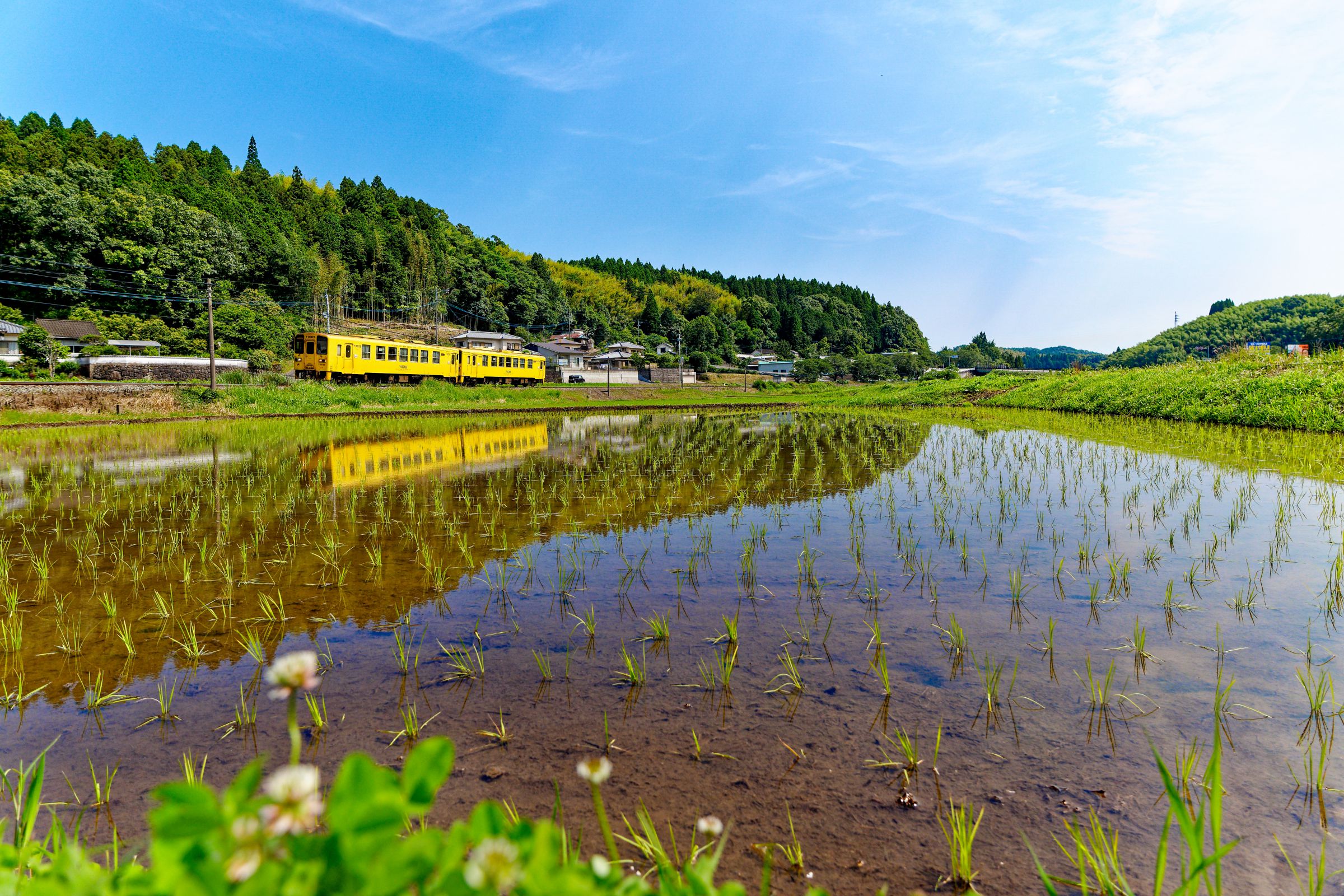 No. 1【初夏の紀の川里風景】 初夏の里山を駆ける | GANREF