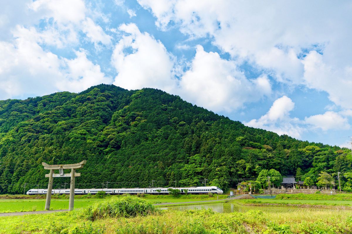 初夏を迎えた里山 | GANREF