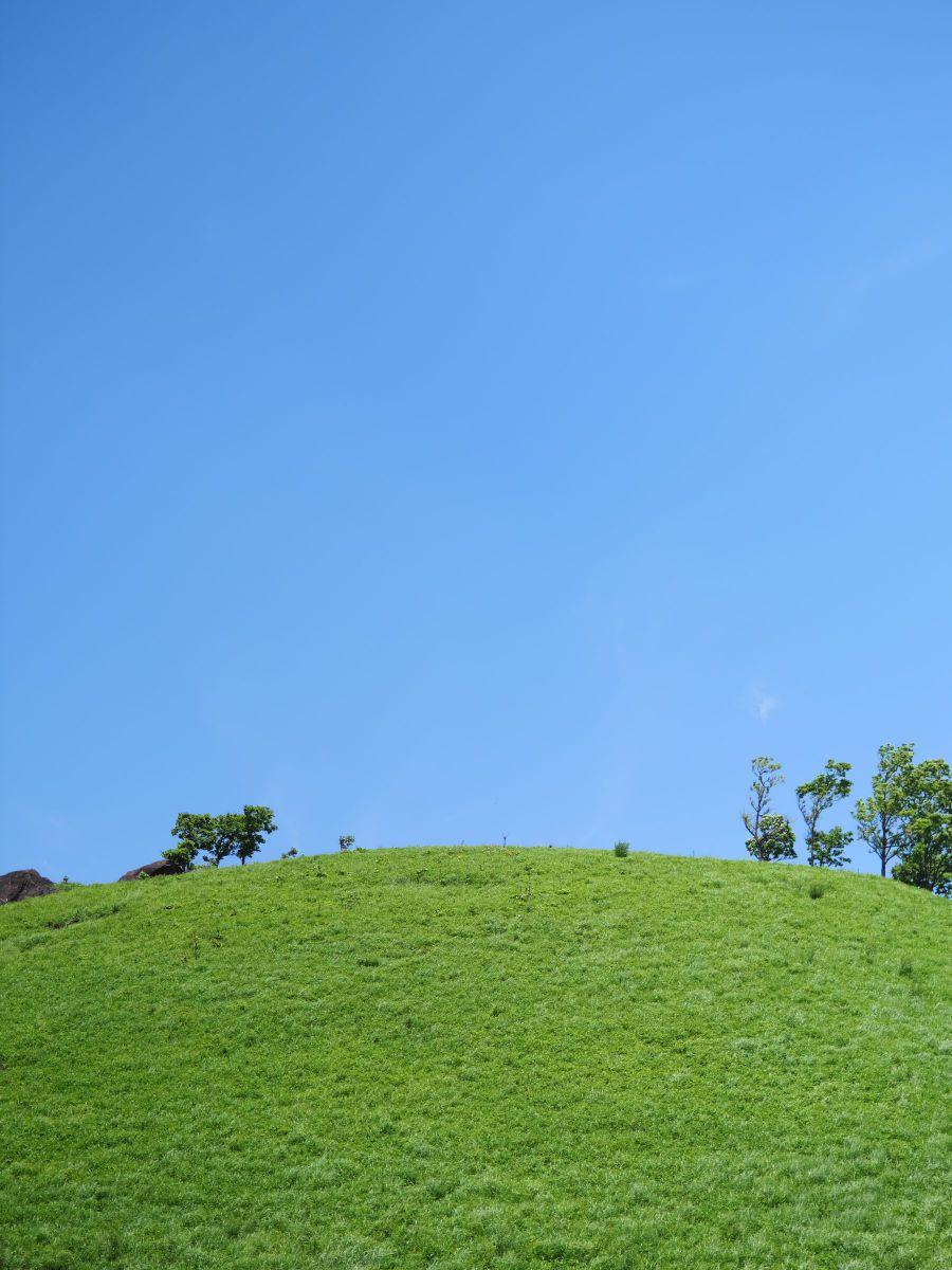 青空と新緑の丘 GANREF