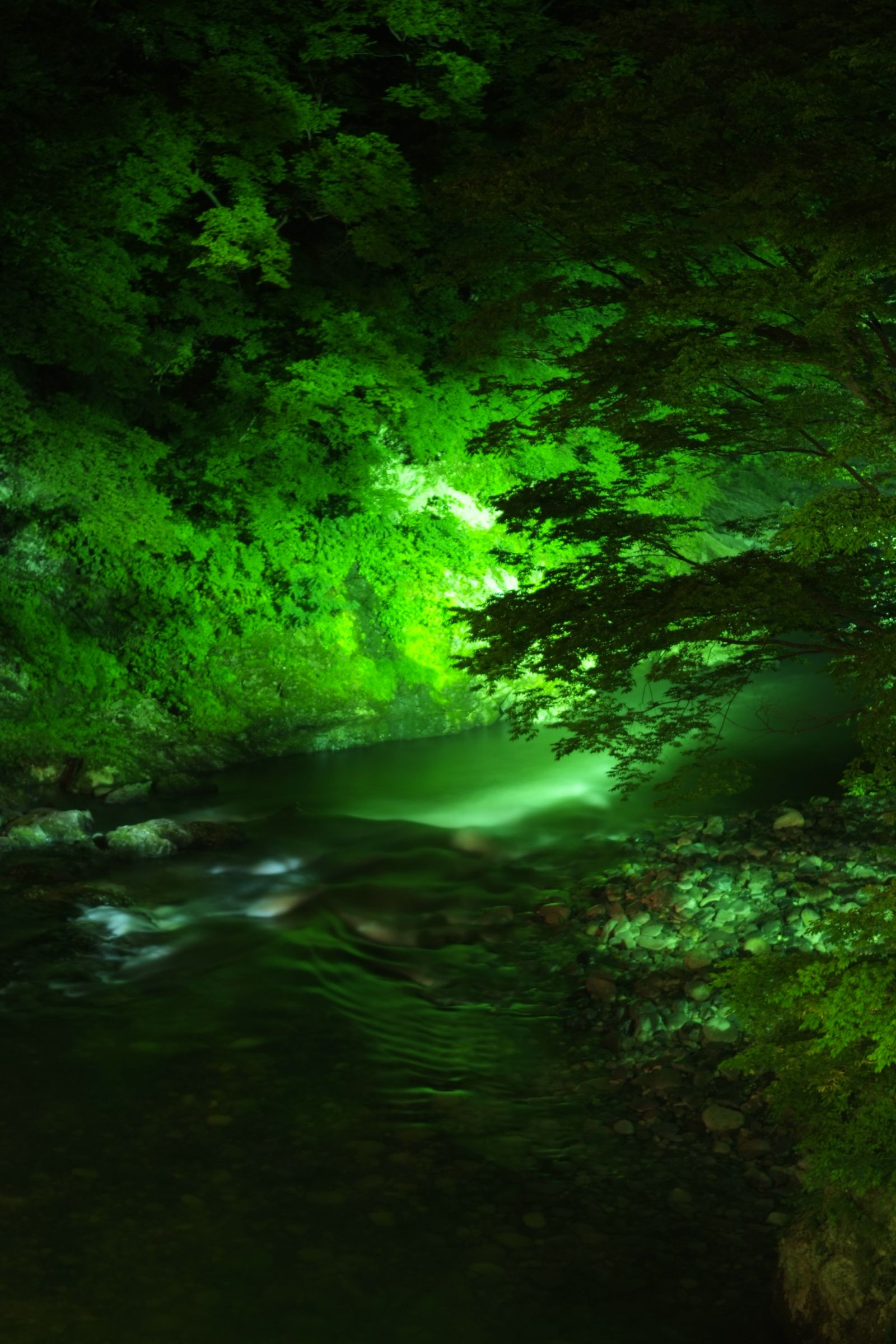 幻想的な情景 | GANREF