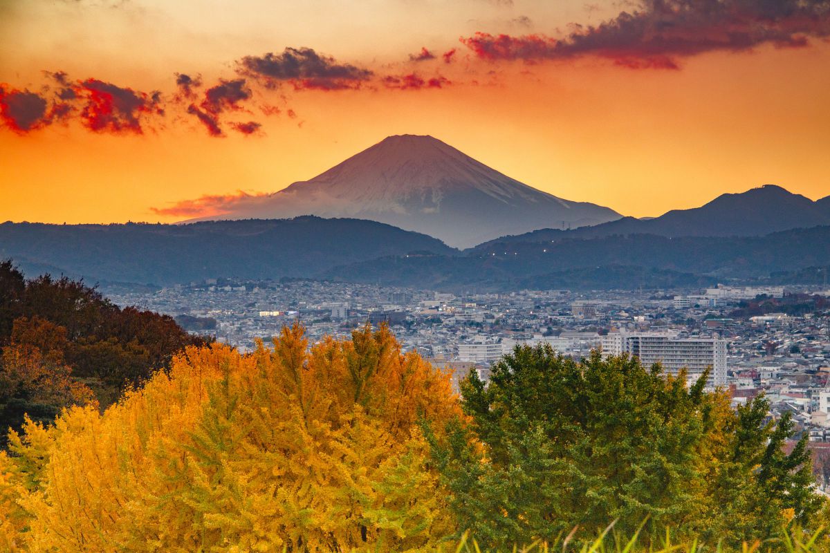 EOS Kiss X4で撮影された写真 | 写真検索 | GANREF