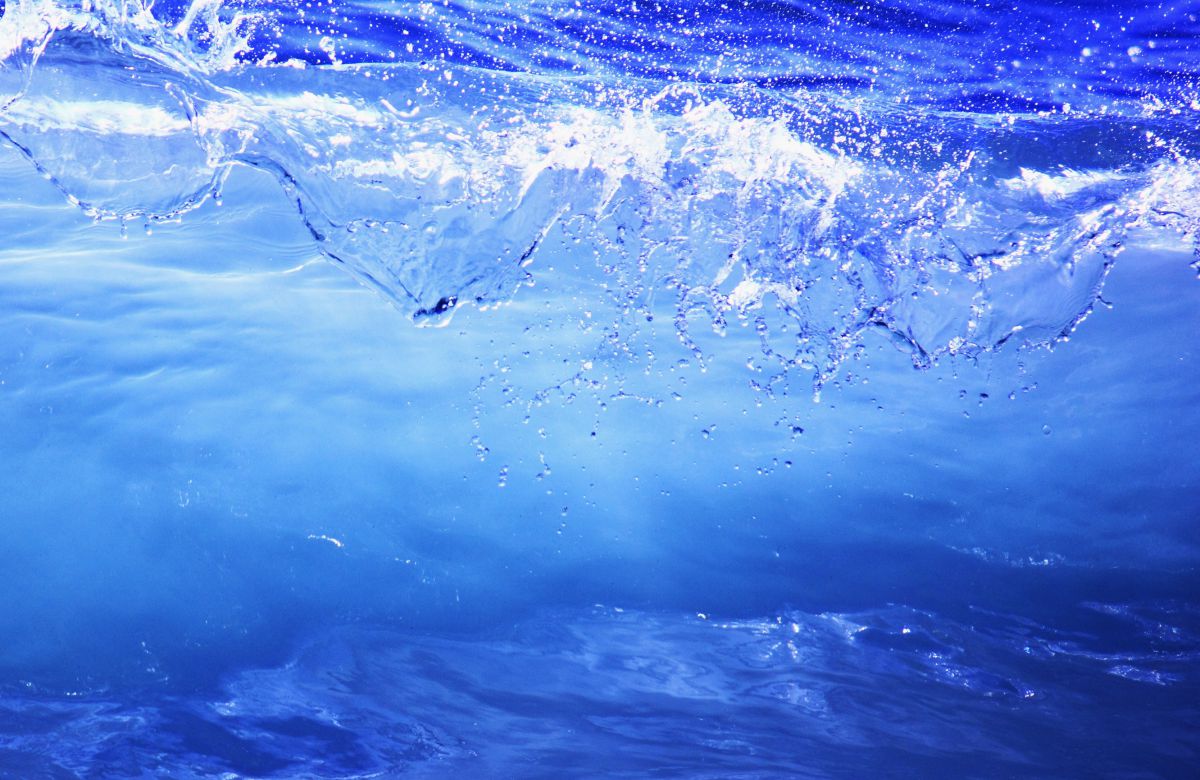 りんりのりこぱぱ ❣美しいボケ味❣EF-S 55-250mm IS II りんりのりこぱぱ ❣美しいボケ味❣EF-S 55-250mm IS II りんりのりこ