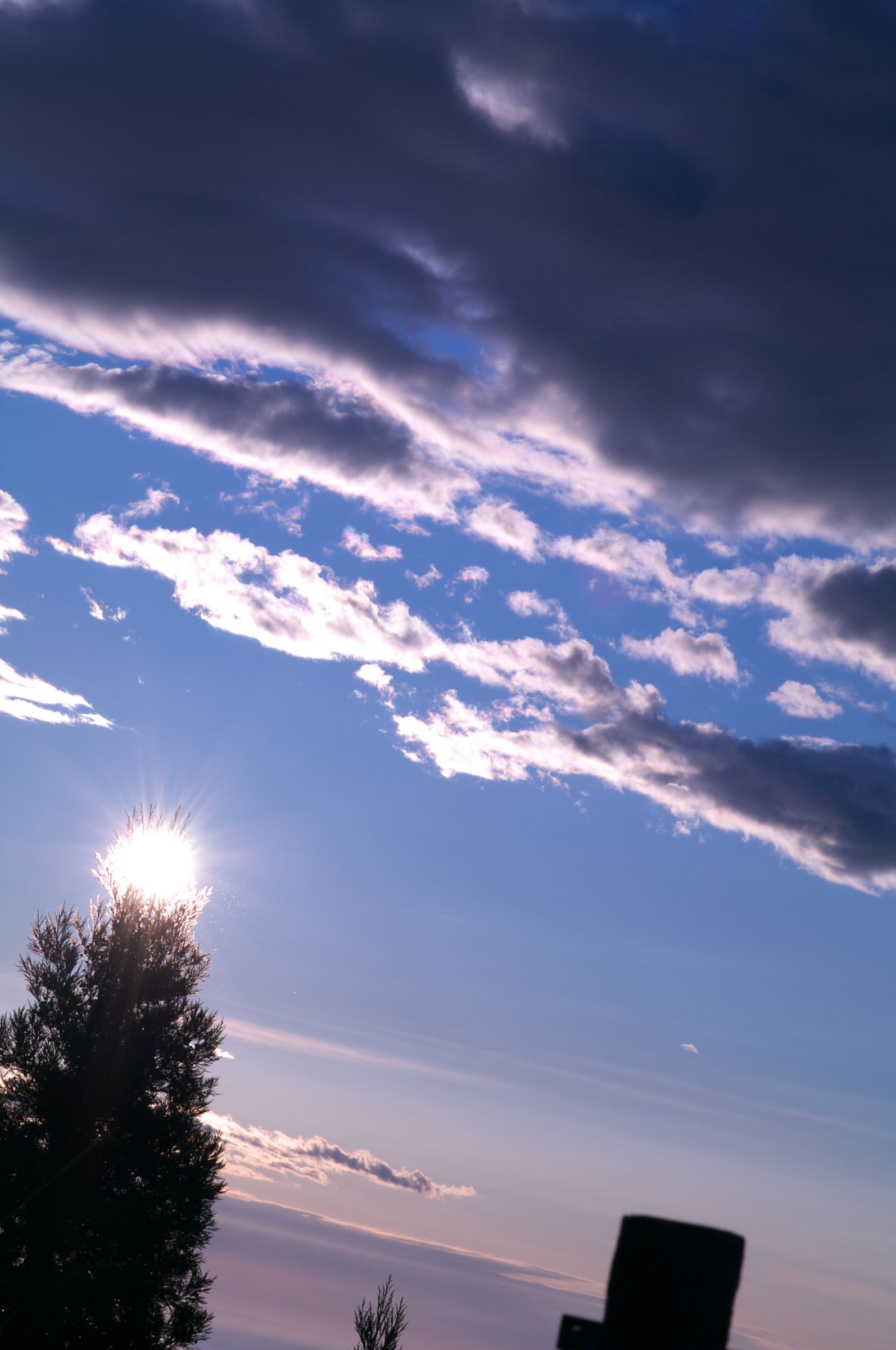 夏の朝雲 | GANREF