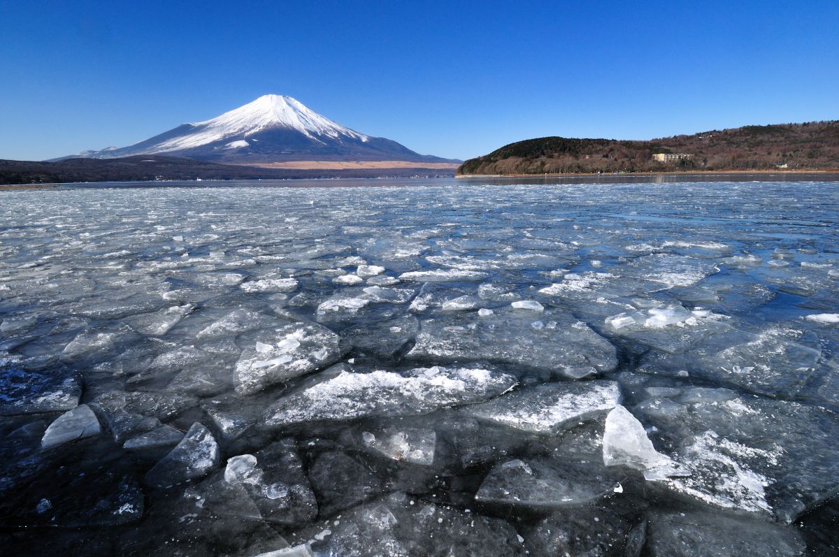 氷原