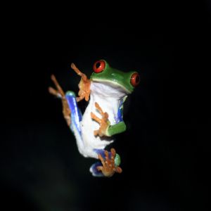 374fb130e6c6ee643d5d6553149d64