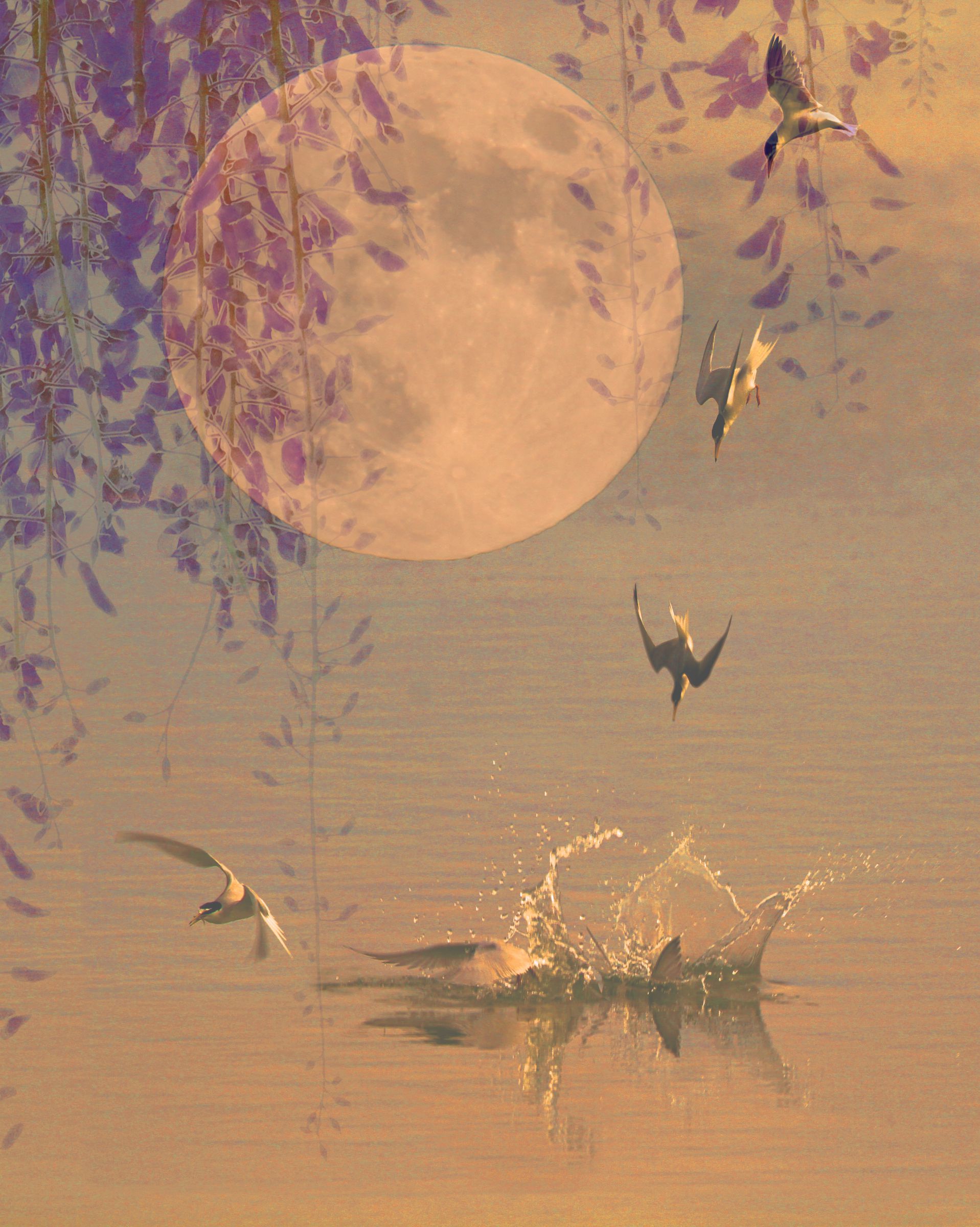 花朝月夕 | GANREF