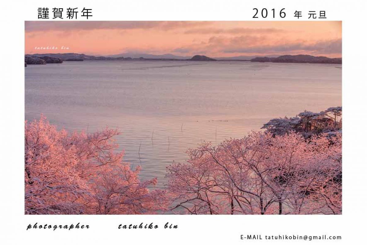 16年賀状 自然 風景 海 Ganref