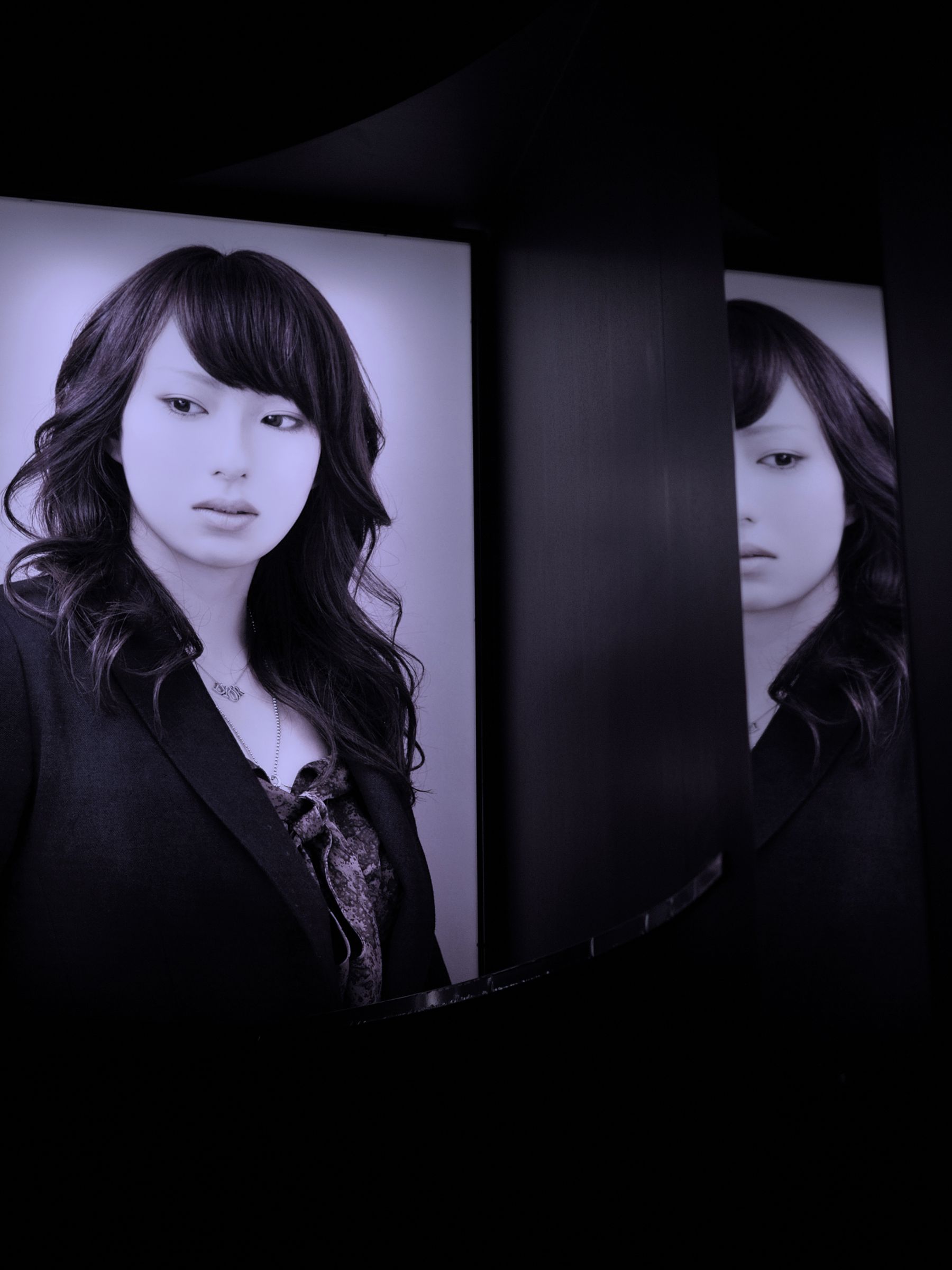 ミラーの女(ひと) | GANREF