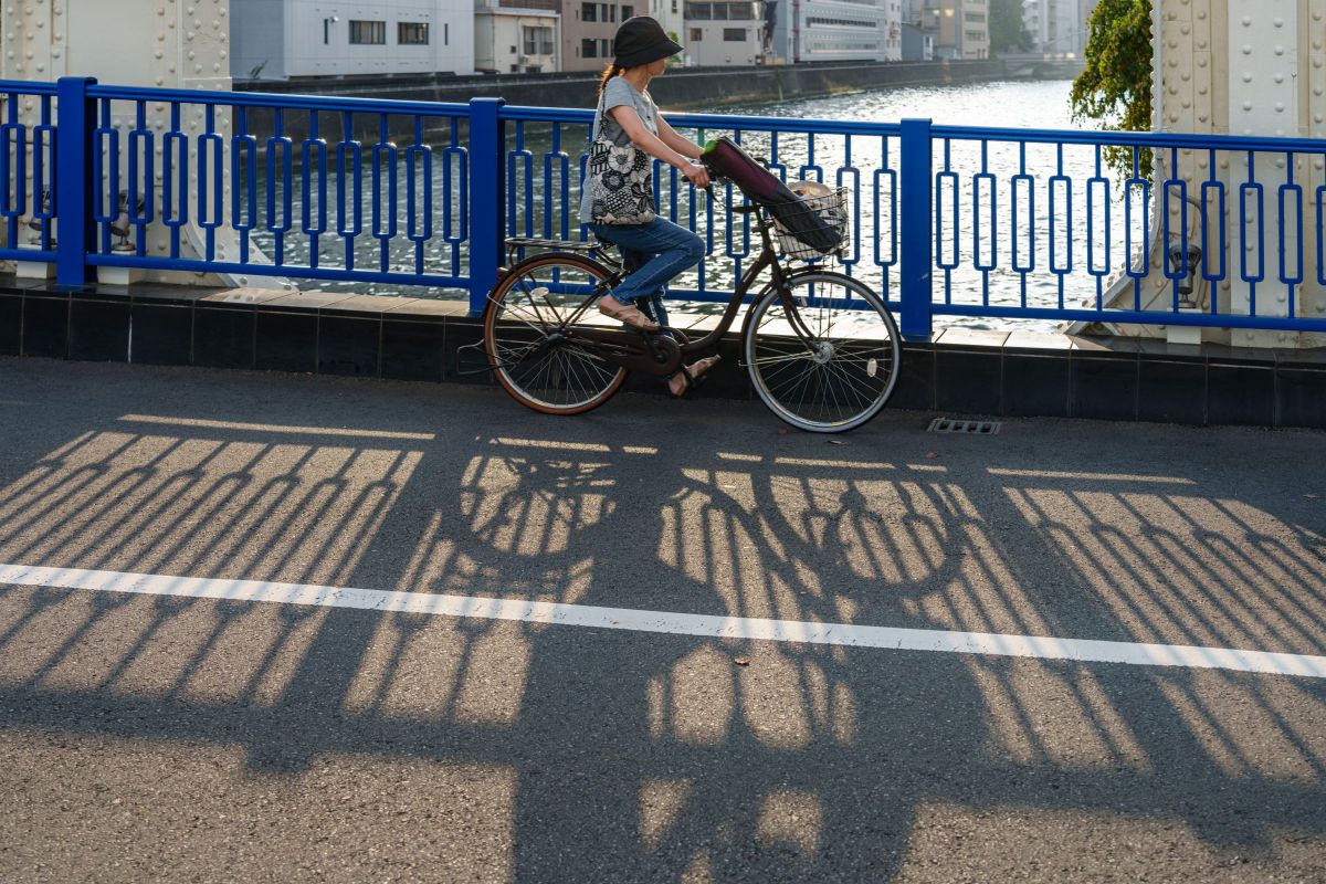 橋を渡る | GANREF