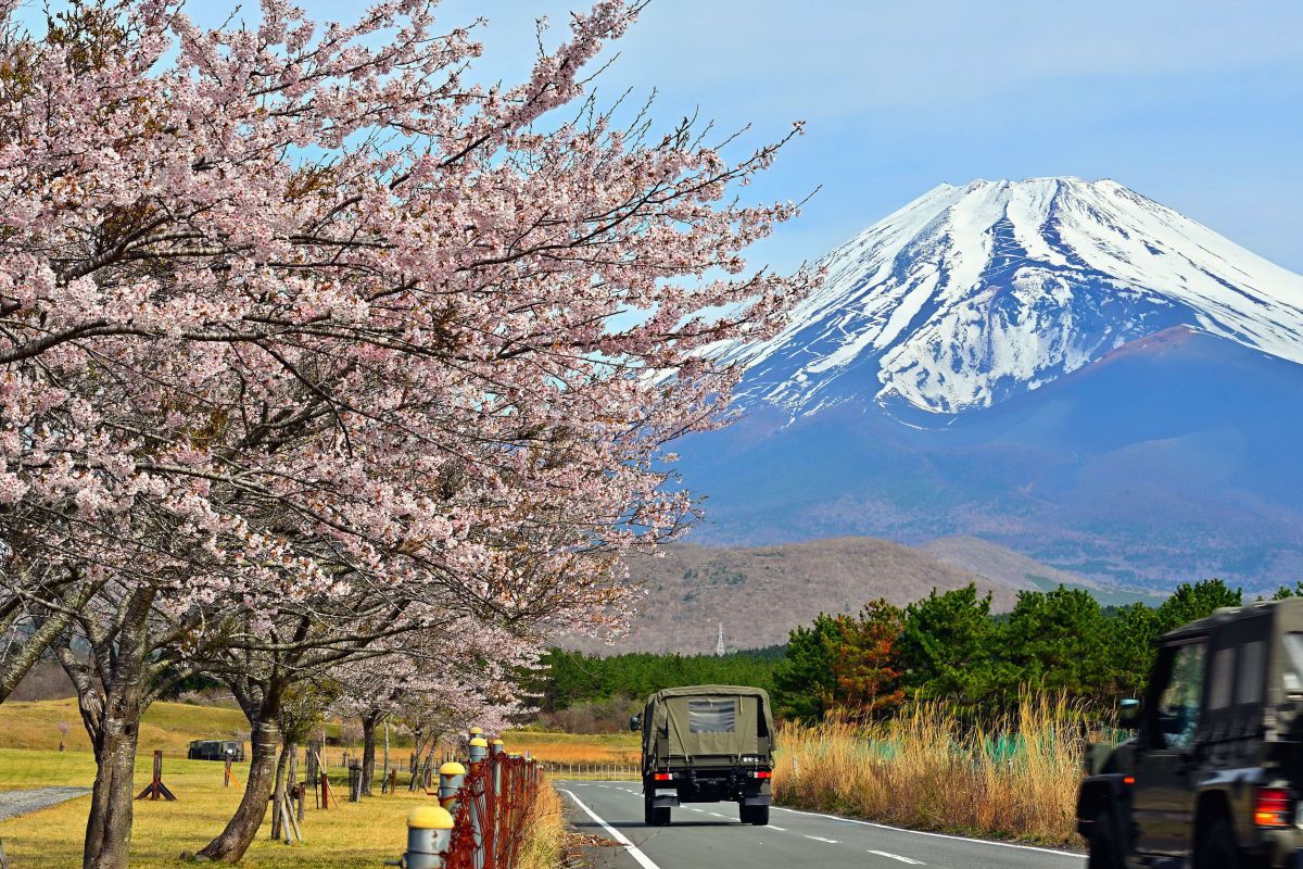 Z6IIIで撮影された写真 | 写真検索 | GANREF