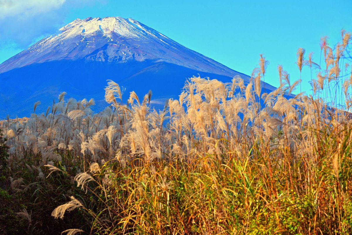 NIKKOR Z 24-120mm f/4 Sで撮影された写真 | 写真検索 | GANREF