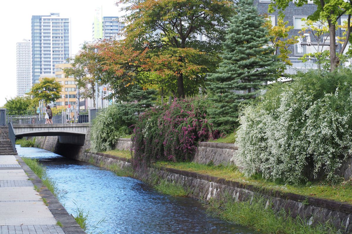 初秋の創成川 GANREF