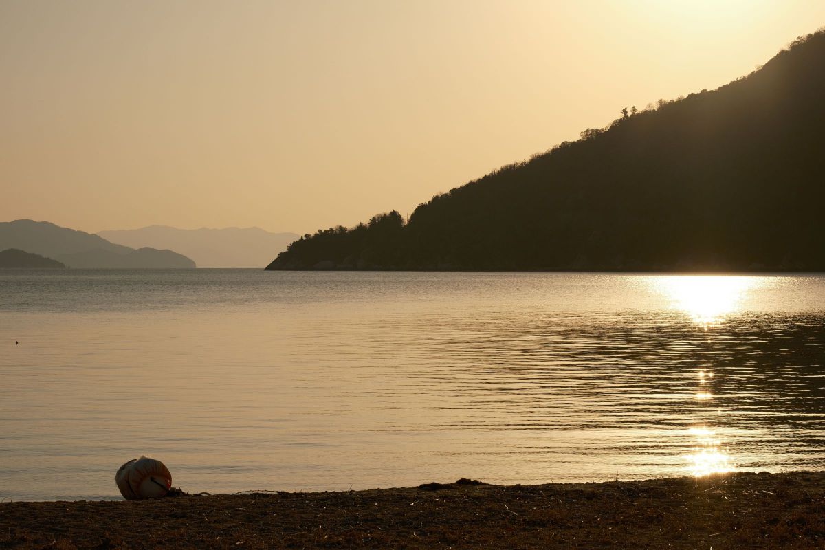 FUJIFILM X-S20で撮影された写真 | 写真検索 | GANREF