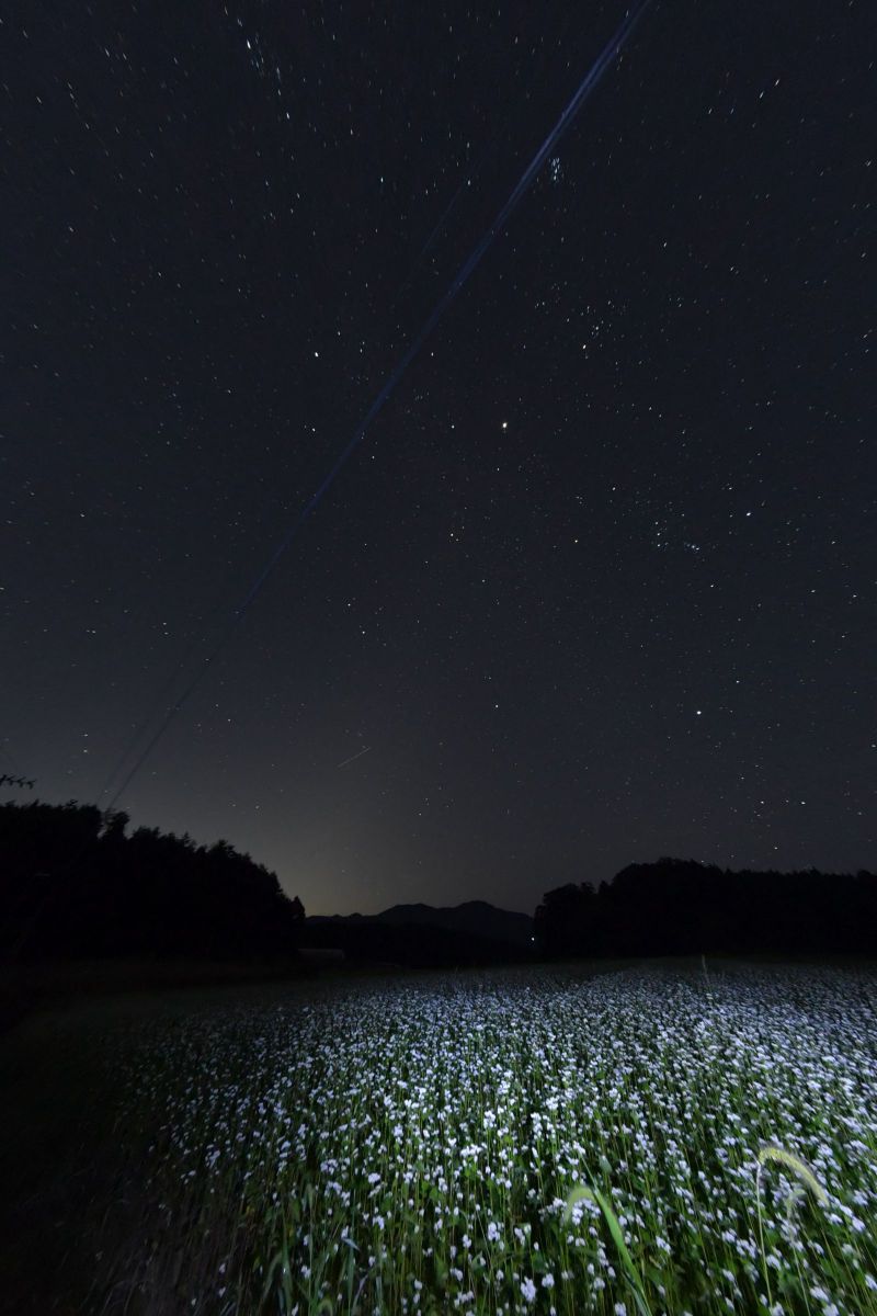 【超特価sale開催】  8mm F3.5 写真検索 | FISHEYEで撮影された写真 CIRCULAR DG EX その他