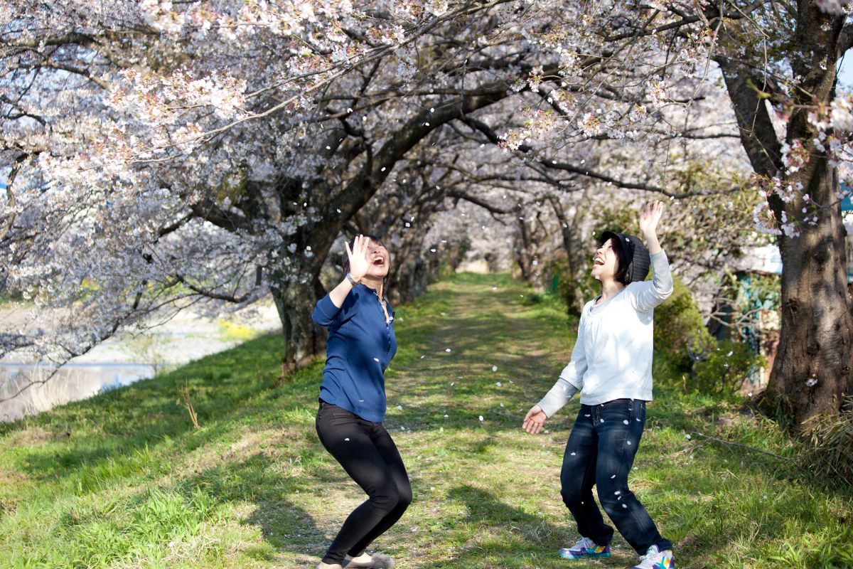 桜の花が散る前に 人物 仲間 友人 集団 Ganref