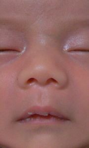 仏顔 Jpg 人物 赤ちゃん Ganref