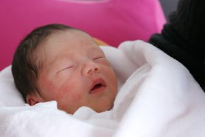 仏顔 Jpg 人物 赤ちゃん Ganref