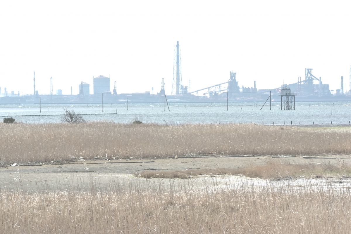東京湾で蜃気楼を見る 自然 風景 海 Ganref