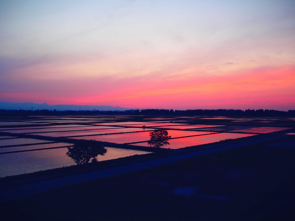 MDAwMDA3MDE4OA_MC43OTM1MjQwMCA