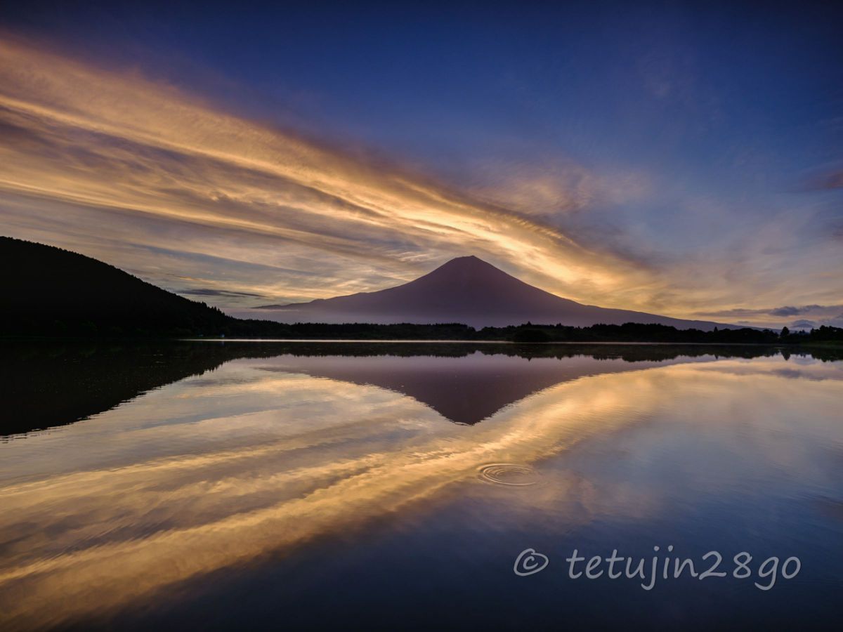 ゴールドな朝 GANREF