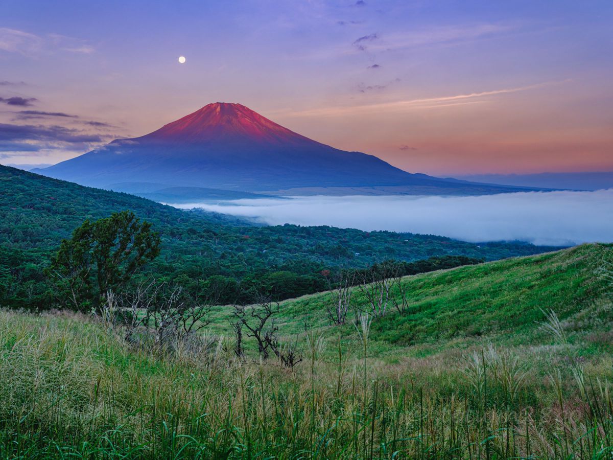 月と赤富士 | GANREF