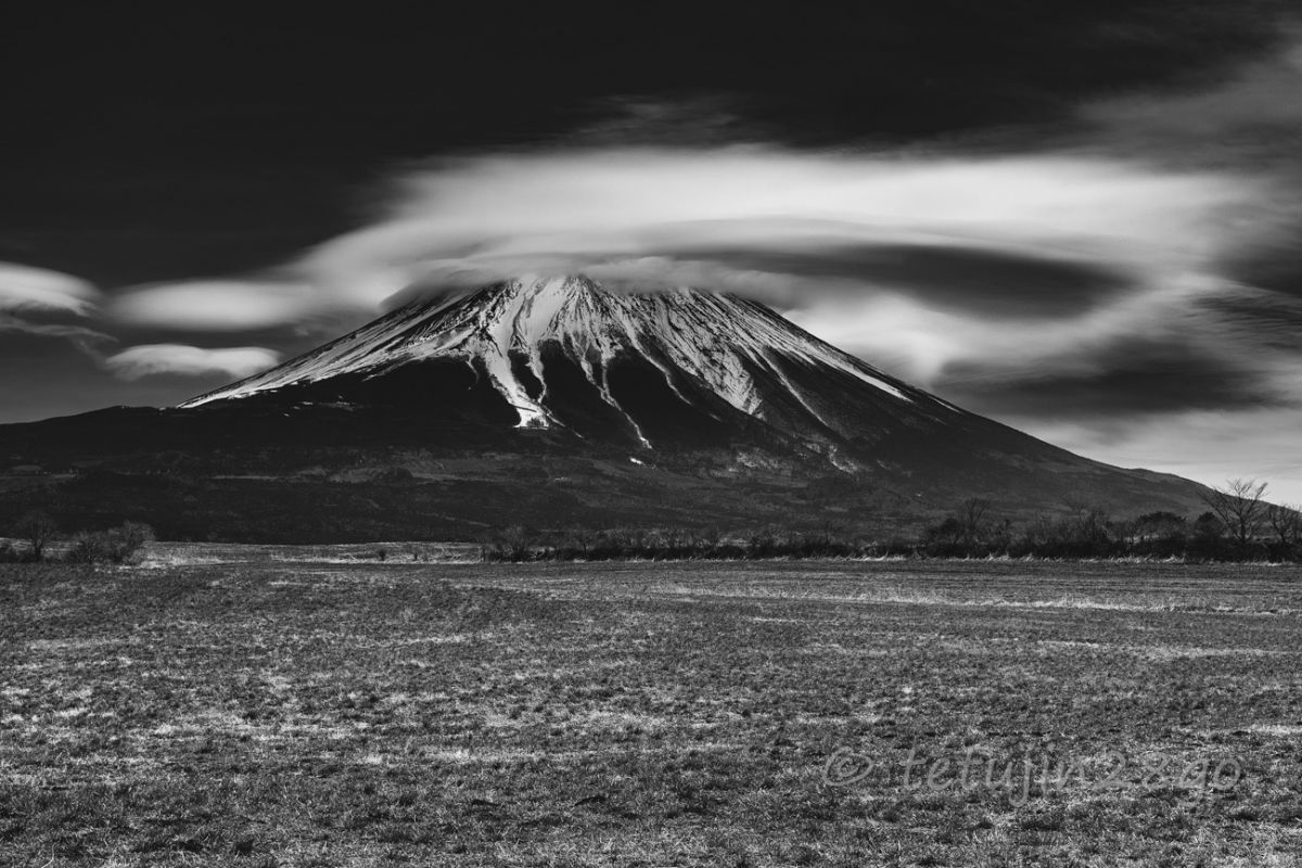 フォトグラフ　雪嶺の威容　松影に映える富士山　モノクロ写真作品　A142 富士山モノクロ | GANREF