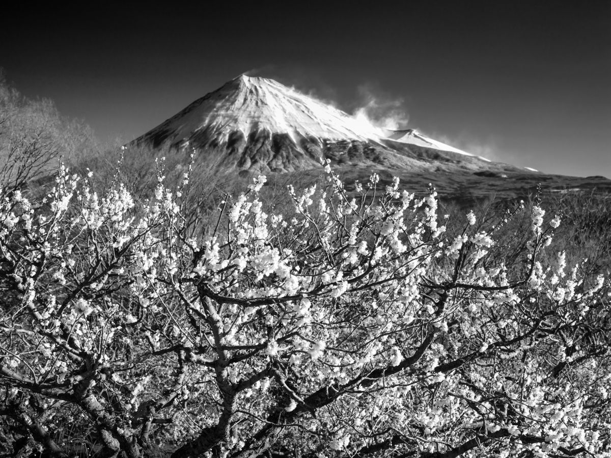 富士山 鉛筆画 モノクローム 富士山【鉛筆画】 Mt. Fuji 【Pencil Drawing】