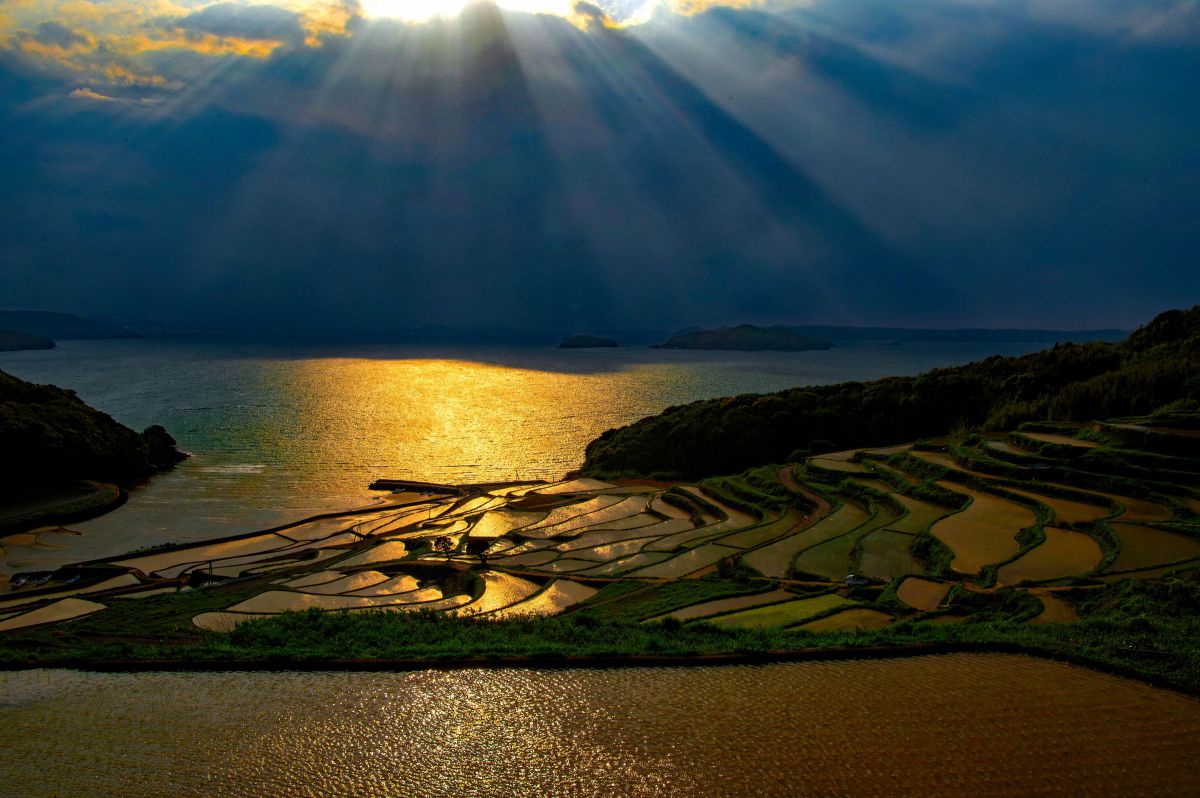 AF-S NIKKOR 24-70mm f/2.8E ED VRで撮影された写真 | 写真検索 | GANREF
