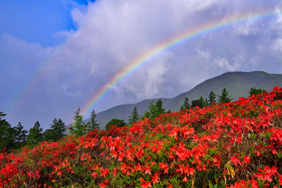AF-S NIKKOR 24-70mm f/2.8E ED VRで撮影された写真 | 写真検索 | GANREF