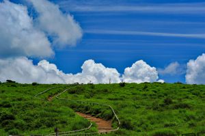 夏の雲 MDAwMDAyNDY2Ng_MC45ODU0MzcwMCA