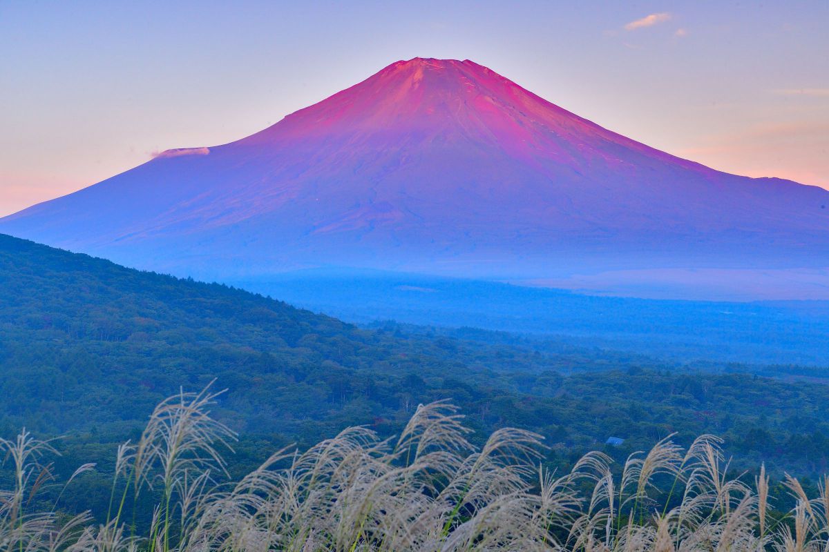 AF-S NIKKOR 24-70mm f/2.8E ED VRで撮影された写真 | 写真検索 | GANREF