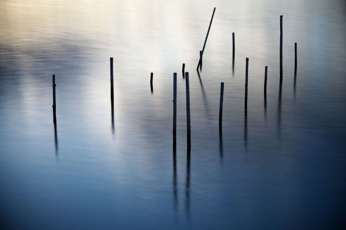 reflection #1 | GANREF