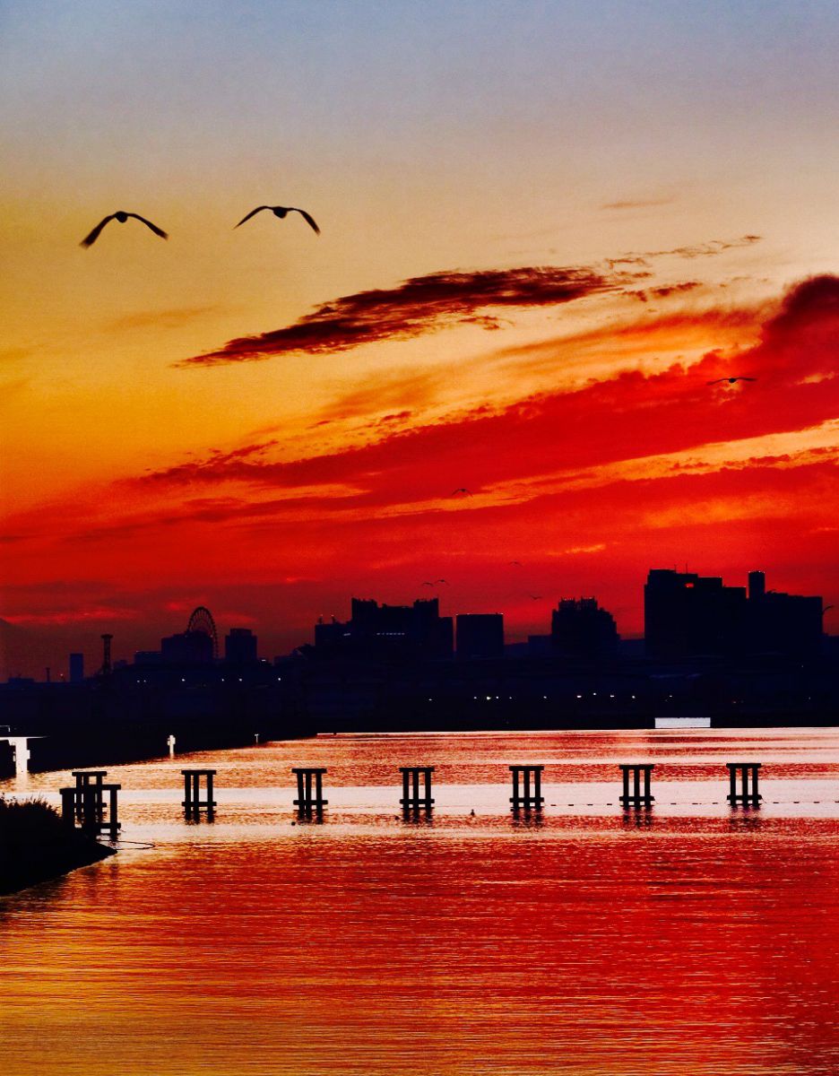 おたふく顔 On 夕焼け Ganref