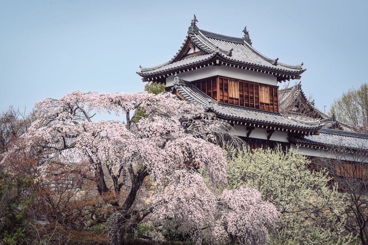 豊臣の思い・・・. GANREF