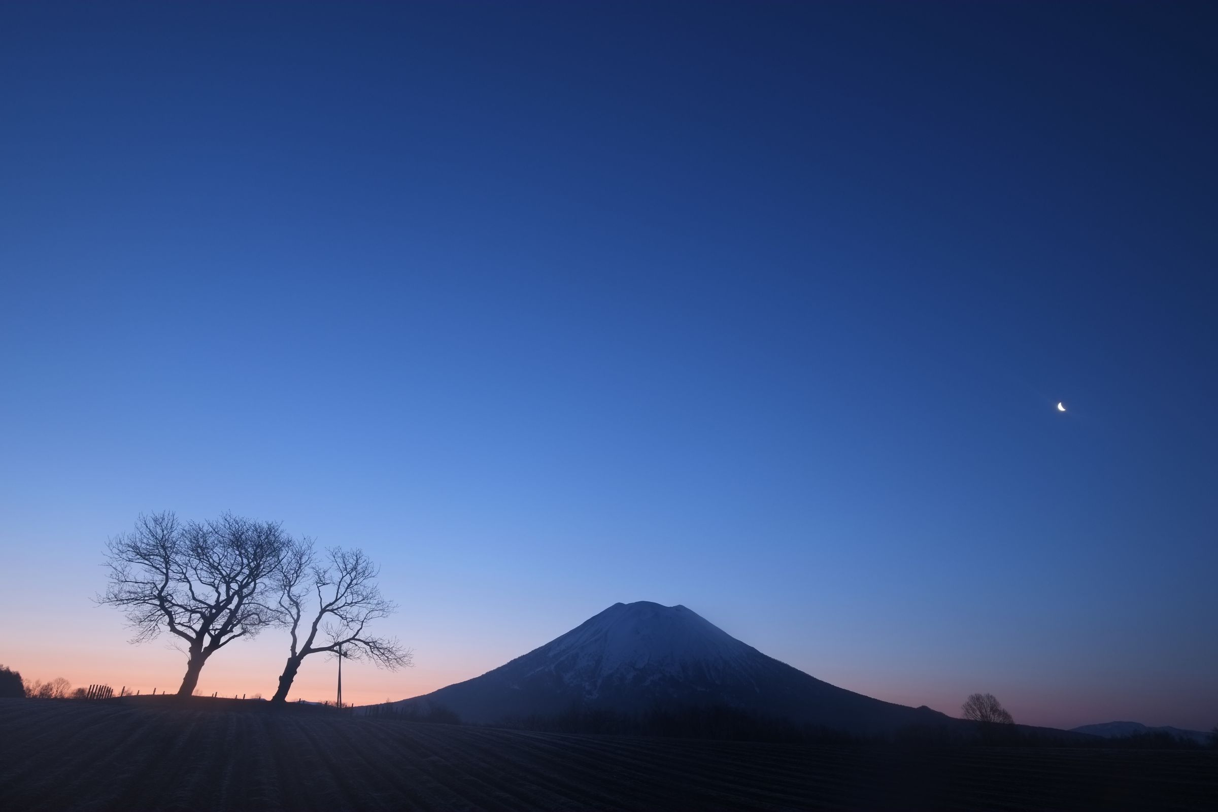 春の富士 Amazon | TOMIX 92709 JR115 1000系近郊電車 長野色 セットより クモハ