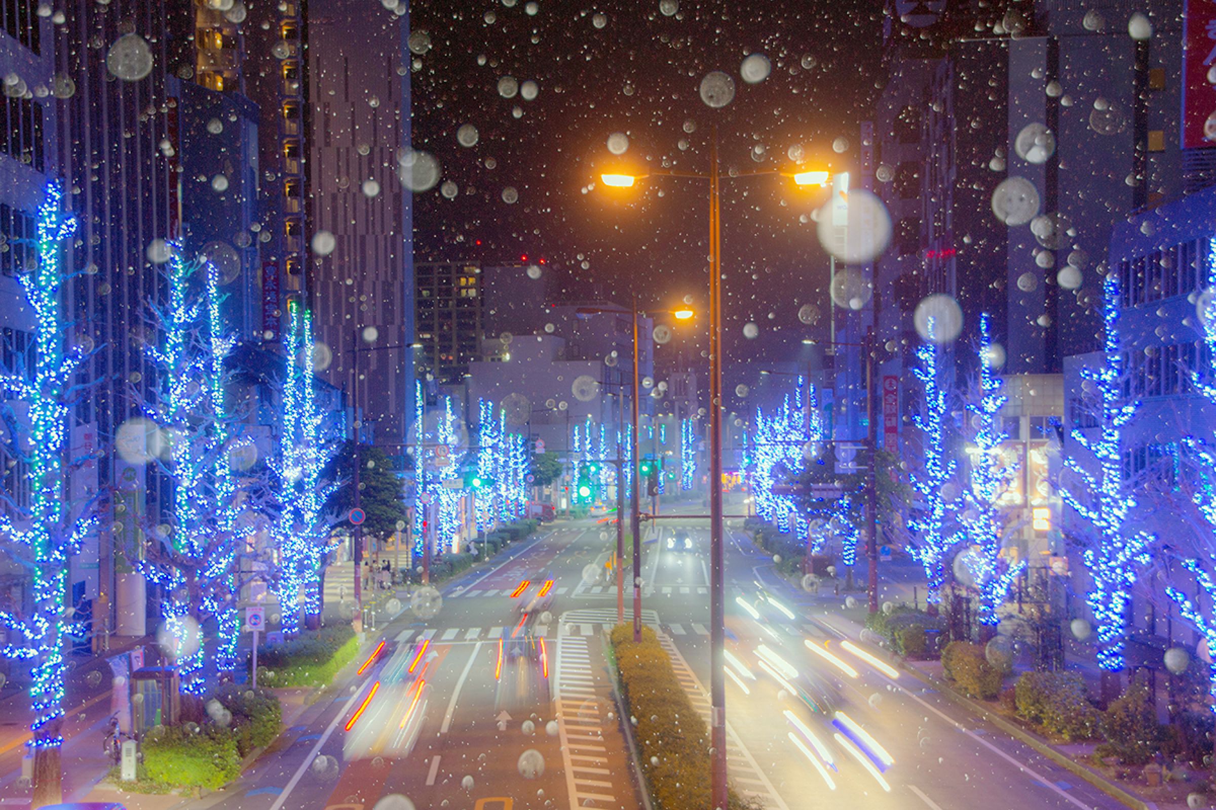 聖なる 夜 と は