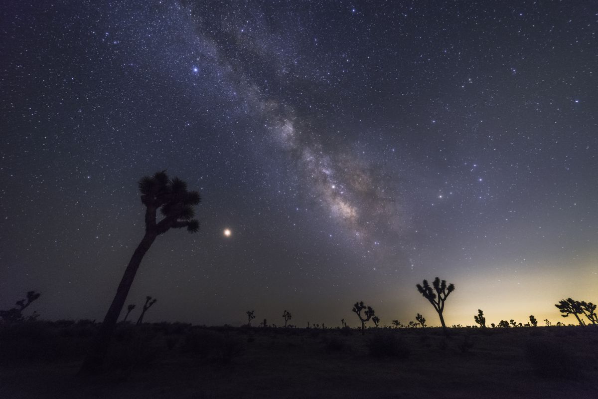 ジョシュアツリー国立公園の星空 自然 風景 宇宙 天体 Ganref