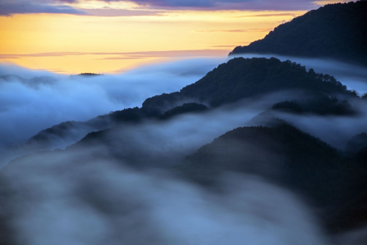 秩父の雲海 自然 風景 山 Ganref 秩父の雲海 自然 風景 山 Ganref