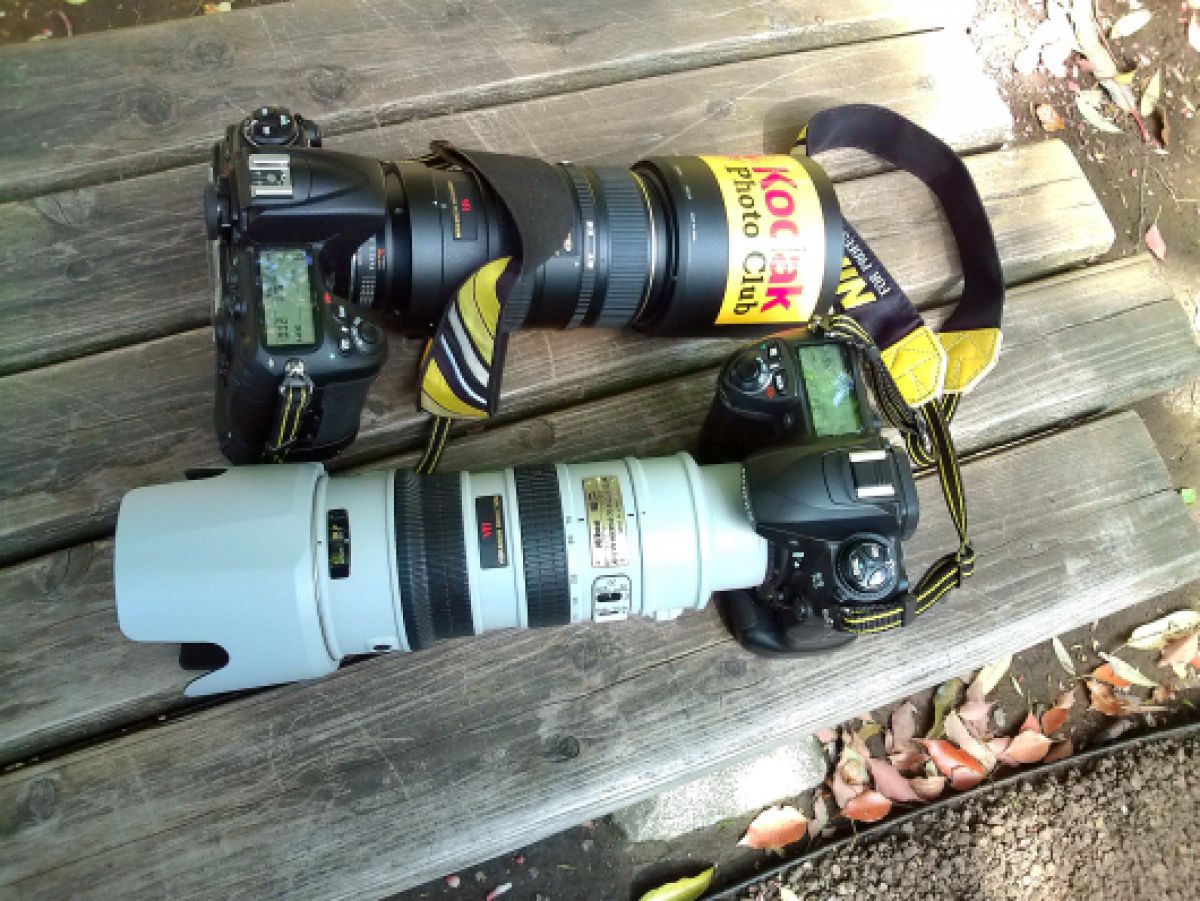 速写ストラップ”ブラックラピッド RS DR-1ダブルストラップ体験記 その